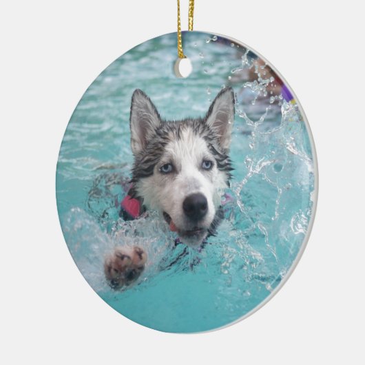 Niedliche Hundeschwimmen im Pool Keramikornament (Links)