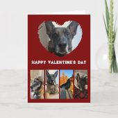 Niedliche Hundfoto-Collage, Einfache Rote Valentin Karte (Vorderseite)