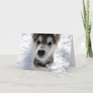 Niedliche Husky-Welpe-Foto, anpassbare Grußkarte Karte