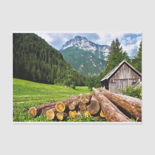 Niedliche Hütte in einer Sommerwiese geschmuggelt Seidenpapier (Vorderseite)