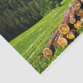 Niedliche Hütte in einer Sommerwiese geschmuggelt Seidenpapier (Ausschnitt)