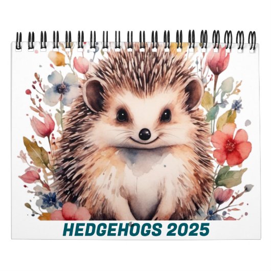NIEDLICHE IGEL 2025 KALENDER (Titelbild)