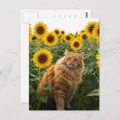 Niedliche Ingwer Katze in Sonnenblumen Postkarte (Vorne/Hinten)