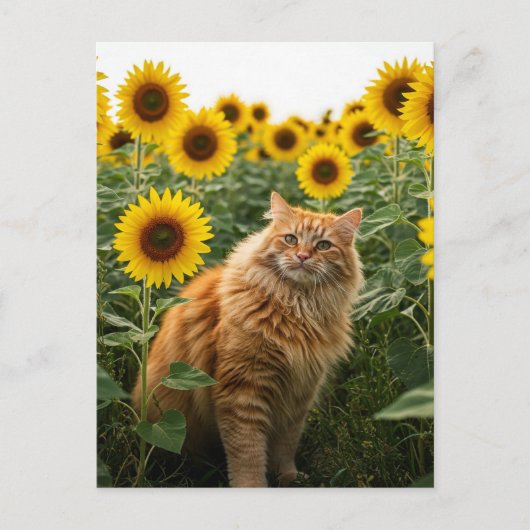 Niedliche Ingwer Katze in Sonnenblumen Postkarte (Vorderseite)