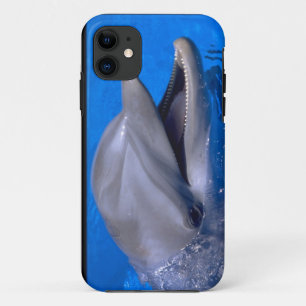 Niedliche iPhone 5 Hüllenen-schöner Delphin Case-Mate iPhone Hülle