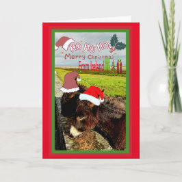 Niedliche Irish Santa Donkeys Weihnachtskarte Feiertagskarte