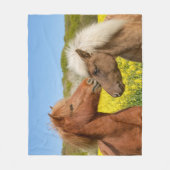 Niedliche isländische Pferde in einer Frühlingswie Fleecedecke (Vorderseite)