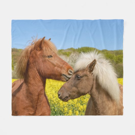 Niedliche isländische Pferde in einer Frühlingswie Fleecedecke (Vorderseite (Horizontal))