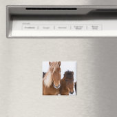 Niedliche isländische Pferde Magnet (In Situ (Geschirrspüler))