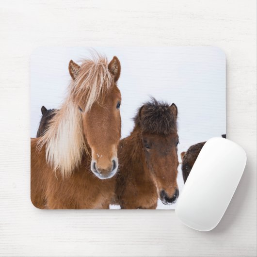 Niedliche isländische Pferde Mousepad (Mit Mouse)