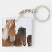 Niedliche isländische Pferde Schlüsselanhänger (Rückseite)