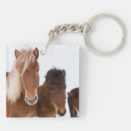 Niedliche isländische Pferde Schlüsselanhänger (Rückseite)