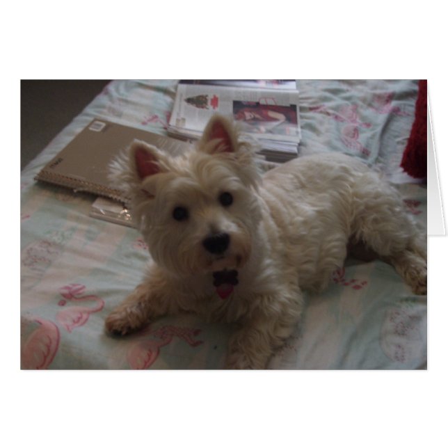 niedliche Jack-Karte! (Vorderseite (Horizontal))