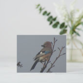 Niedliche Jay in Tree DIY Postkarte (Stehend Vorderseite)