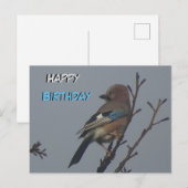 Niedliche Jay in Tree Happy Birthday Postcard Postkarte (Vorne/Hinten)