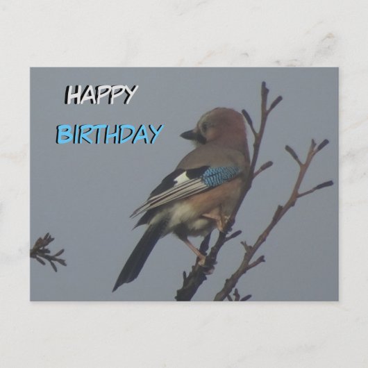 Niedliche Jay in Tree Happy Birthday Postcard Postkarte (Vorderseite)