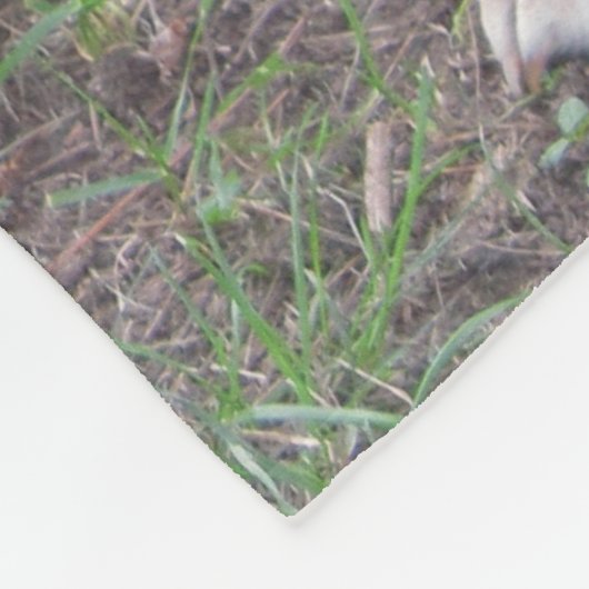 Niedliche junge Beagle-Fleece-Decke Fleecedecke (Ecke)