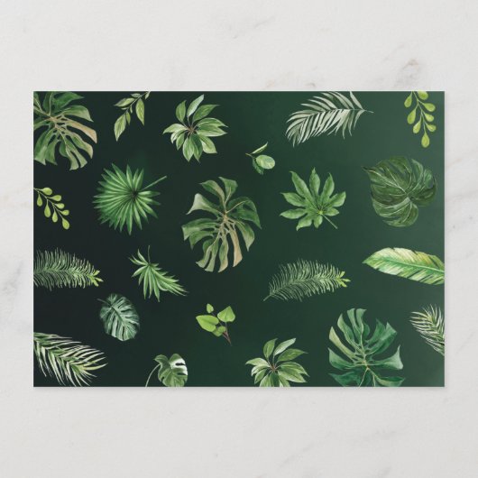 Niedliche Jungle Safari Tiere Grünbücher für Kinde Begleitkarte (Rückseite)