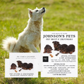 Niedliche Jungtiere, Pet Store & Groomer Visitenkarte