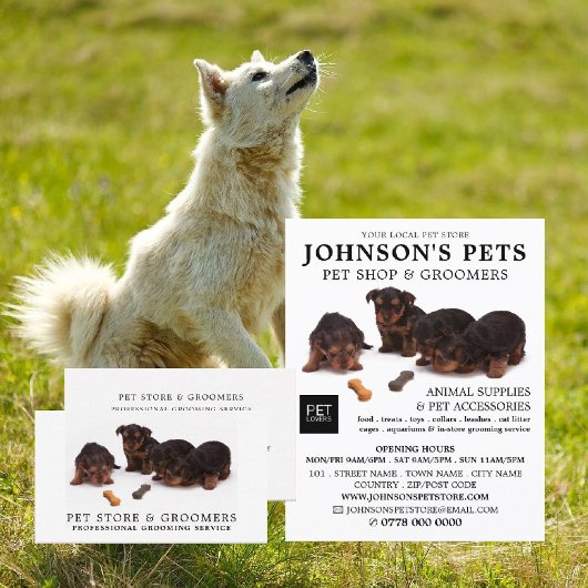 Niedliche Jungtiere, Pet Store & Groomer Visitenkarte