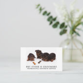 Niedliche Jungtiere, Pet Store & Groomer Visitenkarte (Stehend Vorderseite)