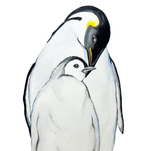 Niedliche Kaiserpinguinfamilie T - Shirt