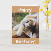 Niedliche Kaliko-Katzen-Geburtstags-Karte, Karte (Gelbe Blume)