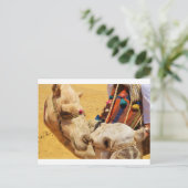 Niedliche Kamele Postkarte (Stehend Vorderseite)