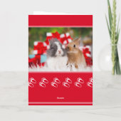 Niedliche Kaninchen Foto Mohnweih Falten Karte (Rückseite)