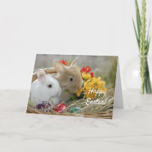 Niedliche Kaninchen Ostern