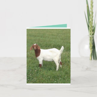 Niedliche Karte abholen