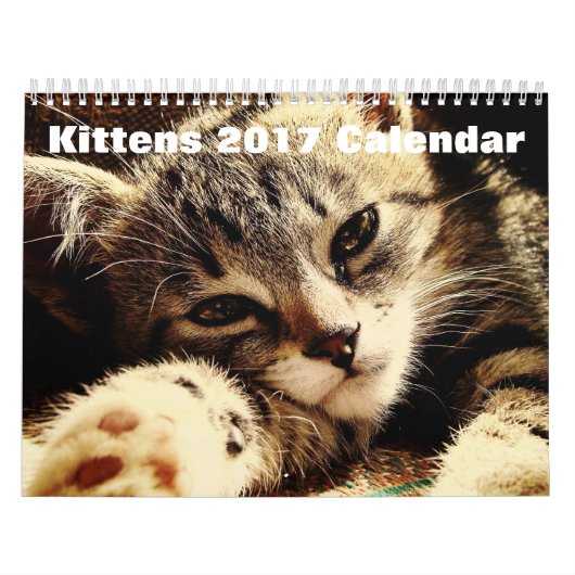 Niedliche Kätzchen 2017 Kalender (Titelbild)