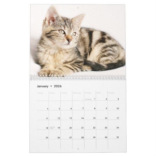 Niedliche Kätzchen 2017 Kalender (Jan 2026)