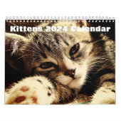 Niedliche Kätzchen 2024 Kalender (Titelbild)