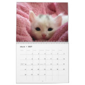 Niedliche Kätzchen 2024 Kalender (Mär 2027)