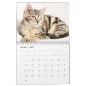 Niedliche Kätzchen 2024 Kalender (Jan 2027)