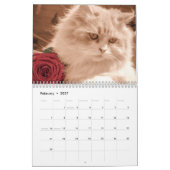 Niedliche Kätzchen 2024 Kalender (Feb 2027)