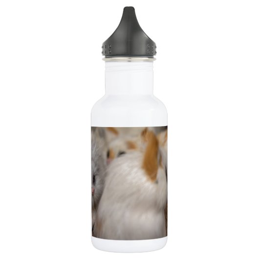 Niedliche Kätzchen Edelstahlflasche (Links)
