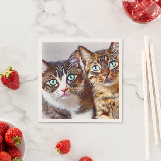 Niedliche Kätzchen Faces Serviette (Beispiel)