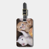 Niedliche Kätzchen Gepäckanhänger (Vorderseite vertikal)