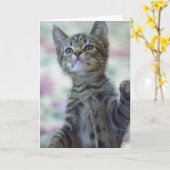 Niedliche Kätzchen-Gruß-Karte Karte (Gelbe Blume)