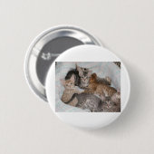 NIEDLICHE KÄTZCHEN IN EINEM KORB BUTTON (Vorne & Hinten)