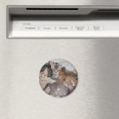 NIEDLICHE KÄTZCHEN IN EINEM KORB MAGNET (In Situ (Geschirrspüler))