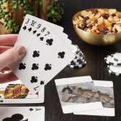 NIEDLICHE KÄTZCHEN IN EINEM KORB SPIELKARTEN (In Situ)
