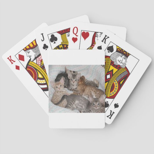 NIEDLICHE KÄTZCHEN IN EINEM KORB SPIELKARTEN (Rückseite)