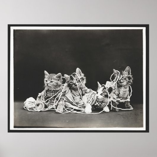 Niedliche Kätzchen in Garnkunst drucken Poster (Vorne)