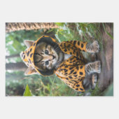 Niedliche Kätzchen in Kostümen POSTERS Geschenkpapier Set (Vorderseite 2)