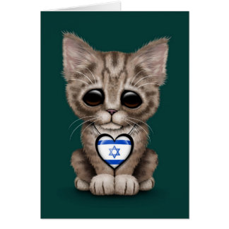 Niedliche Kätzchen-Katze mit dem israelischen