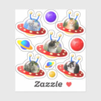 Niedliche Kätzchen Katzen in UFOs Flying Sauceres