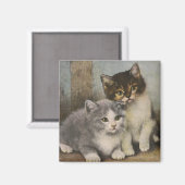 Niedliche Kätzchen Magnet (Vorderseite/Rückseite)